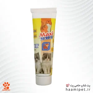 خرید مالت گربه مکس ترکیه ای از پت شاپ آنلاین حامی پت