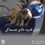 خرید پرزگیر دائمی قابل شستشو برند Trixie با قدرت چسبندگی بسیار بالا محصول آلمان از پت شاپ حامی پت