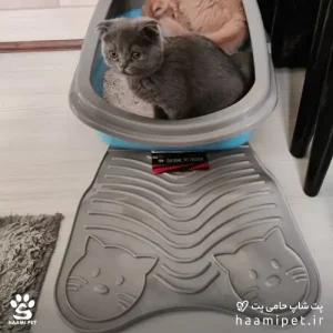 خرید مت جلو ظرف خاک دنیل از پت شاپ آنلاین حامی پت