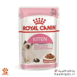 خرید پوچ بچه گربه رویال کنین مدل کیتن از پت شاپ حامی پت