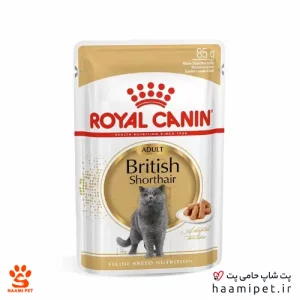 خرید پوچ گربه بریتیش رویال کنین وزن 85 گرم از پت شاپ حامی پت