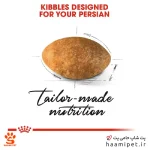 غذای خشک گربه پرشین رویال کنین