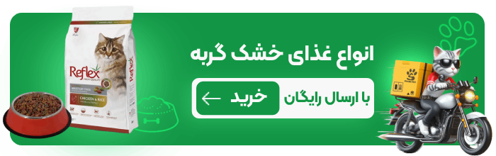 خرید غذای خشک گربه - پت شاپ حامی پت
