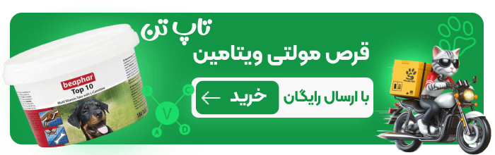 خرید قرص مولتی ویتامین سگ بیفار مدل TOP 10 حاوی 180 عدد از پت شاپ آنلاین حامی پت