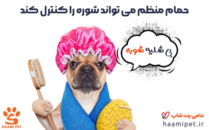 کنترل شوره سگ با حمام منظم