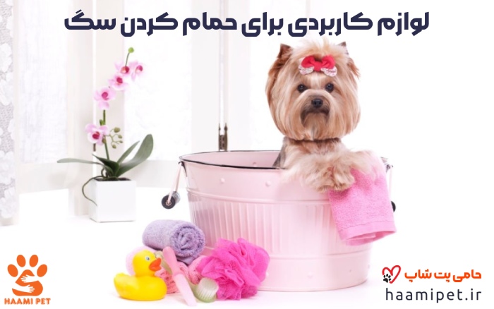 تجهیزات و لوازم برای حمام کردن سگ