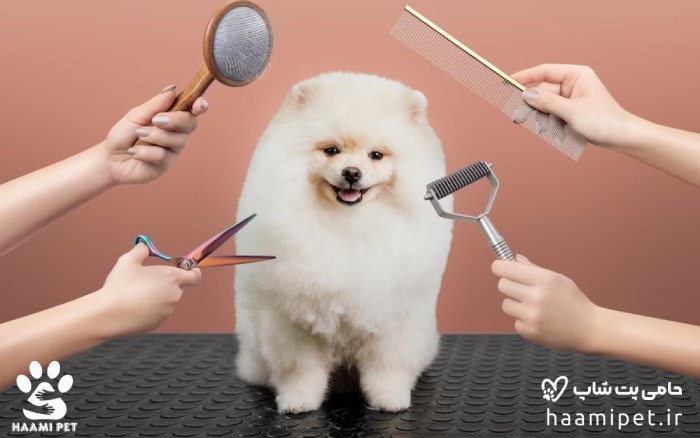 هرچند وقت یک‌بار باید سگ خود را پیش آرایشگر ببرید؟