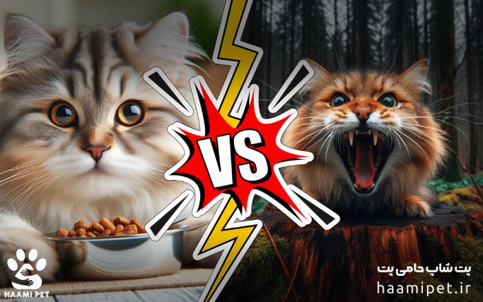 مقایسه‌ی غذای گربه‌های خانگی و گربه‌های وحشی