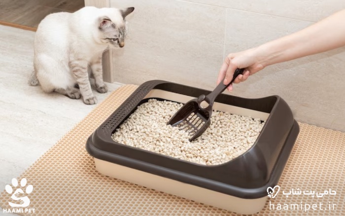 ظرف خاک برای گربه