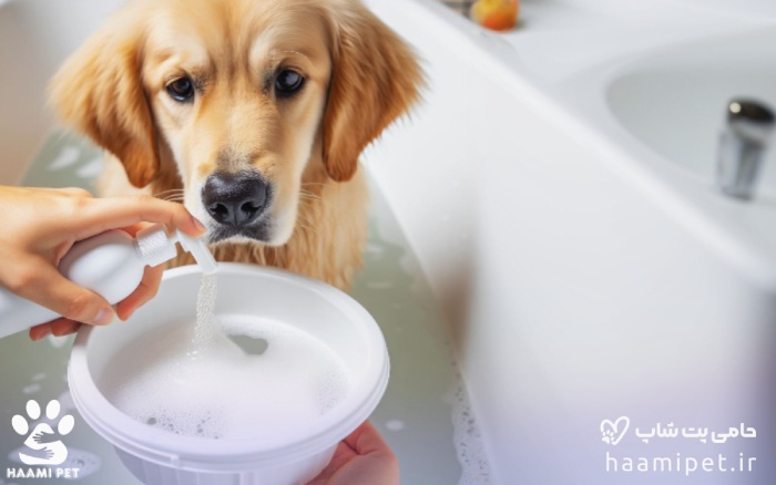 رقیق کردن شامپوی سگ برای حمام کردن سگ