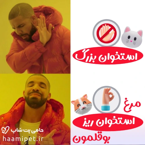 مواد غذایی انسانی که نباید به گربه خود بدهید - استخوان برای گربه