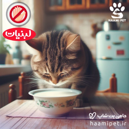 مواد غذایی انسانی که نباید به گربه خود بدهید - لبنیات برای گربه