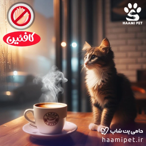 مواد غذایی انسانی که نباید به گربه خود بدهید - کافئین برای گربه