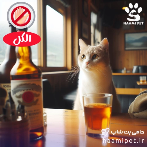 مواد غذایی انسانی که نباید به گربه خود بدهید - نوشیدنی الکل برای گربه