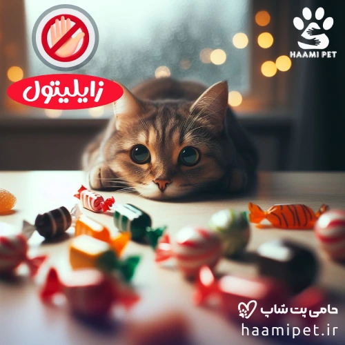مواد غذایی انسانی که نباید به گربه خود بدهید - زایلیتول برای گربه