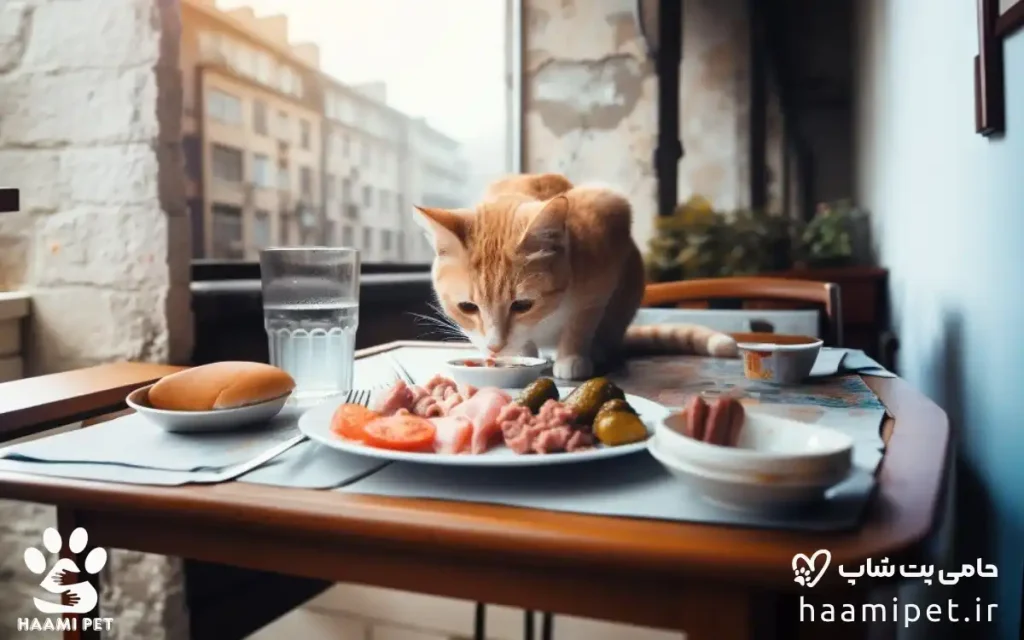 مواد غذایی انسانی که نباید به گربه خود بدهید - پت شاپ حامی پت
