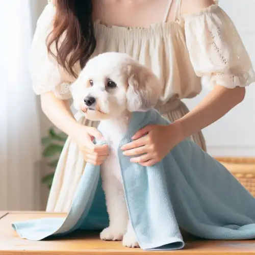 خشک کردن بدن سگ با حوله بعد از حمام کردن سگ در زمستان - پت شاپ حامی پت