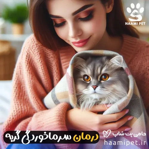 درمان سرماخوردگی گربه - برای درمان سرماخوردگی گربه چه کارهایی باید انجام دهید - مجله پت شاپ حامی پت