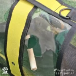 باکس حمل جونده و پرندگان - پت شاپ حامی پت