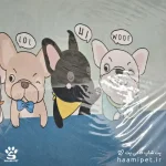 خرید مت زیرانداز ظرف آب و غذا فضای حیوانات