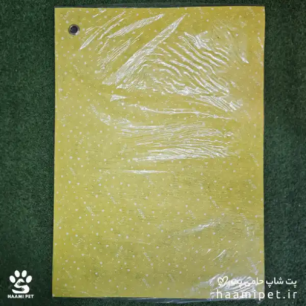 2304-haamipet-product-img خرید مت نانو ظرف آب و غذا رنگ زرد سگ و گربه از پت شاپ آنلاین حامی پت