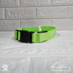 خرید قلاده سگ مدل چراغ دار سایز XL رنگ سبز مخصوص سگ نژاد بزرگ از پت شاپ حامی پت