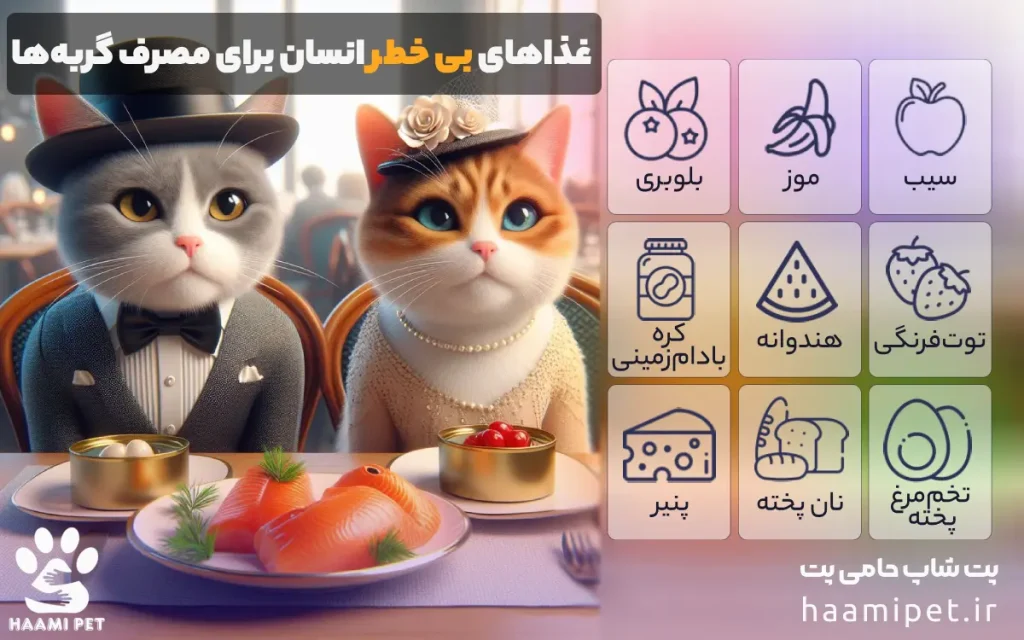 کدام غذاهای انسانی برای مصرف گربه‌ها بی‌خطر هستند؟ - پت شاپ حامی پت