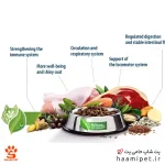 غذای خشک توله سگ نژاد کوچک هپی داگ فله ای