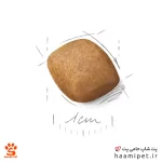 غذای خشک سگ بالغ پامرانین رویال کنین