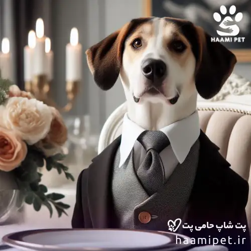  راهنمای خرید غذای سگ - راهنمای خرید غذای سگ - پت شاپ حامی پت