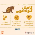 ویژگی ها و مواد غذایی غذای خشک گربه هیربال هپی کت مدل مینکاس با طعم مرغ - پت شاپ حامی پت