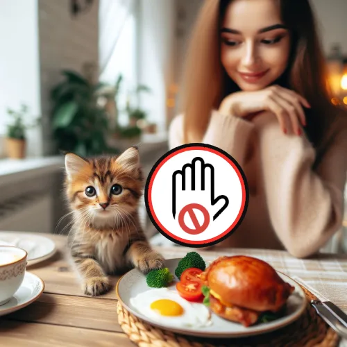 آیا غذای انسان‌ها به گربه‌ها می‌سازد؟