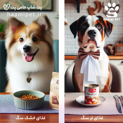 دو دسته غذای سگ؛ غذای خشک سگ و غذای تر سگ - پت شاپ حامی پت