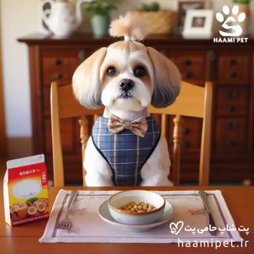 غذای خشک سگ - راهنمای خرید غذای سگ - پت شاپ حامی پت