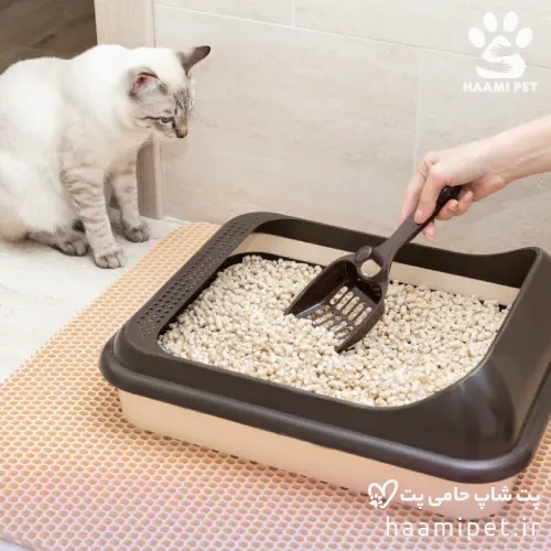 خاک گربه چیست؟ - پت شاپ حامی پت