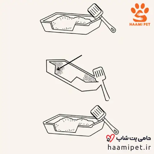 راهنمای استفاده از خاک گربه - پت شاپ حامی پت