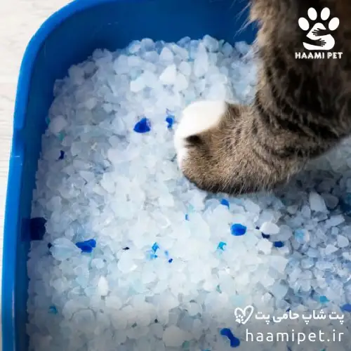 خاک سیلیکا - خاک گربه سیلیکا - پت شاپ حامی پت