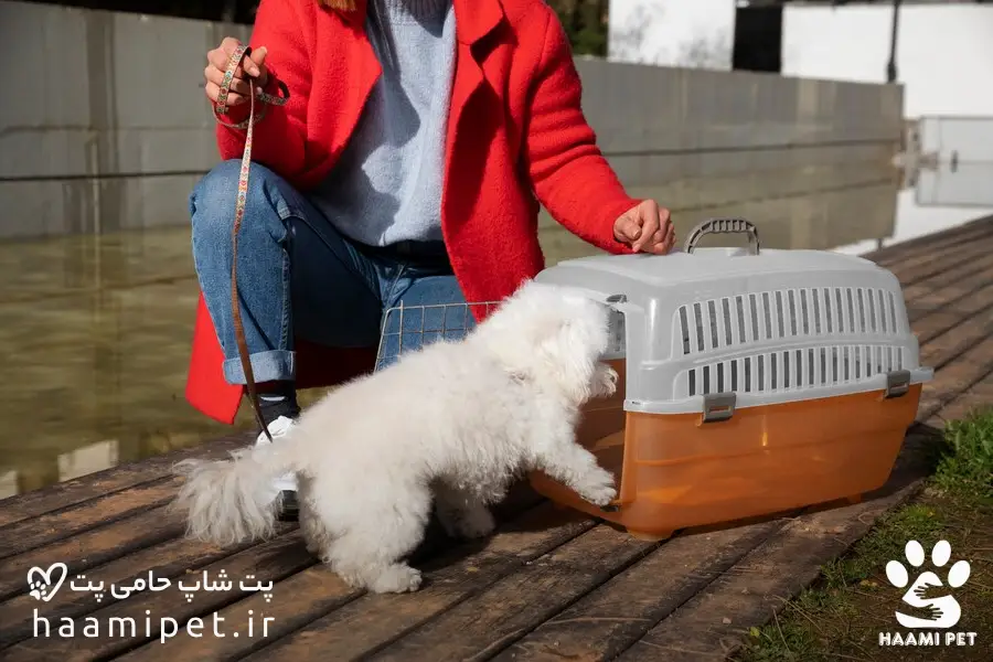 باکس و کیف حمل سگ - پت شاپ حامی پت 