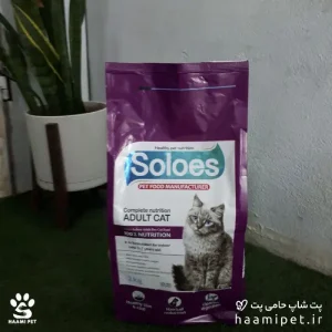 غذای خشک گربه بالغ سولوئز وزن ۲ کیلوگرم - پت شاپ حامی پت
