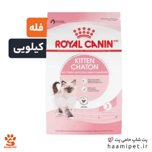 خرید غذای خشک گربه کیتن رویال کنین ( فله - کیلویی ) از پت شاپ حامی پت