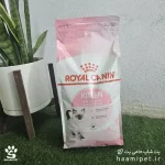 خرید غذای خشک بچه گربه کیتن رویال کنین وزن ۲ کیلوگرم از پت شاپ حامی پت