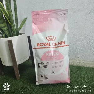 خرید غذای خشک بچه گربه کیتن رویال کنین وزن ۲ کیلوگرم از پت شاپ حامی پت