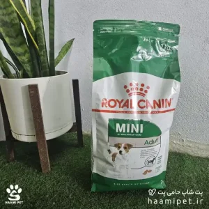 خرید غذای خشک سگ مینی ادالت رویال کنین وزن ۲ کیلوگرم از پت شاپ آنلانی حامی پت