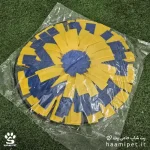 خرید چمن تشویقی سگ و گربه طرح دایره ای سایز بزرگ از پت شاپ حامی پت