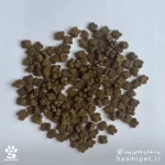 دانه های غذای خشک گربه بالغ سولوئز - پت شاپ حامی پت