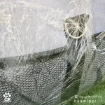 کیف حمل سگ و گربه مخصوص خودرو - پت شاپ حامی پت