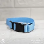 خرید قلاده سگ مدل چراغ دار سایز S رنگ آبی مخصوص سگ نژاد کوچک از پت شاپ حامی پت