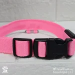 خرید قلاده سگ مدل چراغ دار سایز M رنگ صورتی مخصوص سگ نژاد متوسط از پت شاپ آنلاین حامی پت