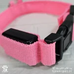 خرید قلاده سگ مدل چراغ دار سایز M رنگ صورتی مخصوص سگ نژاد متوسط از پت شاپ حامی پت