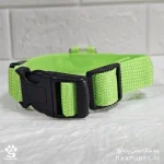 خرید قلاده سگ مدل چراغدار سایز S رنگ سبز مخصوص سگ نژاد کوچک از پت شاپ آنلاین حامی پت